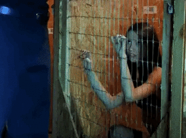 ♠️ My Future: ♠️ Black Owned Property ♠️ 24/7 $ex $lave for BNWO ♠️ ♠️ $ex $lave for BNWO ♠️