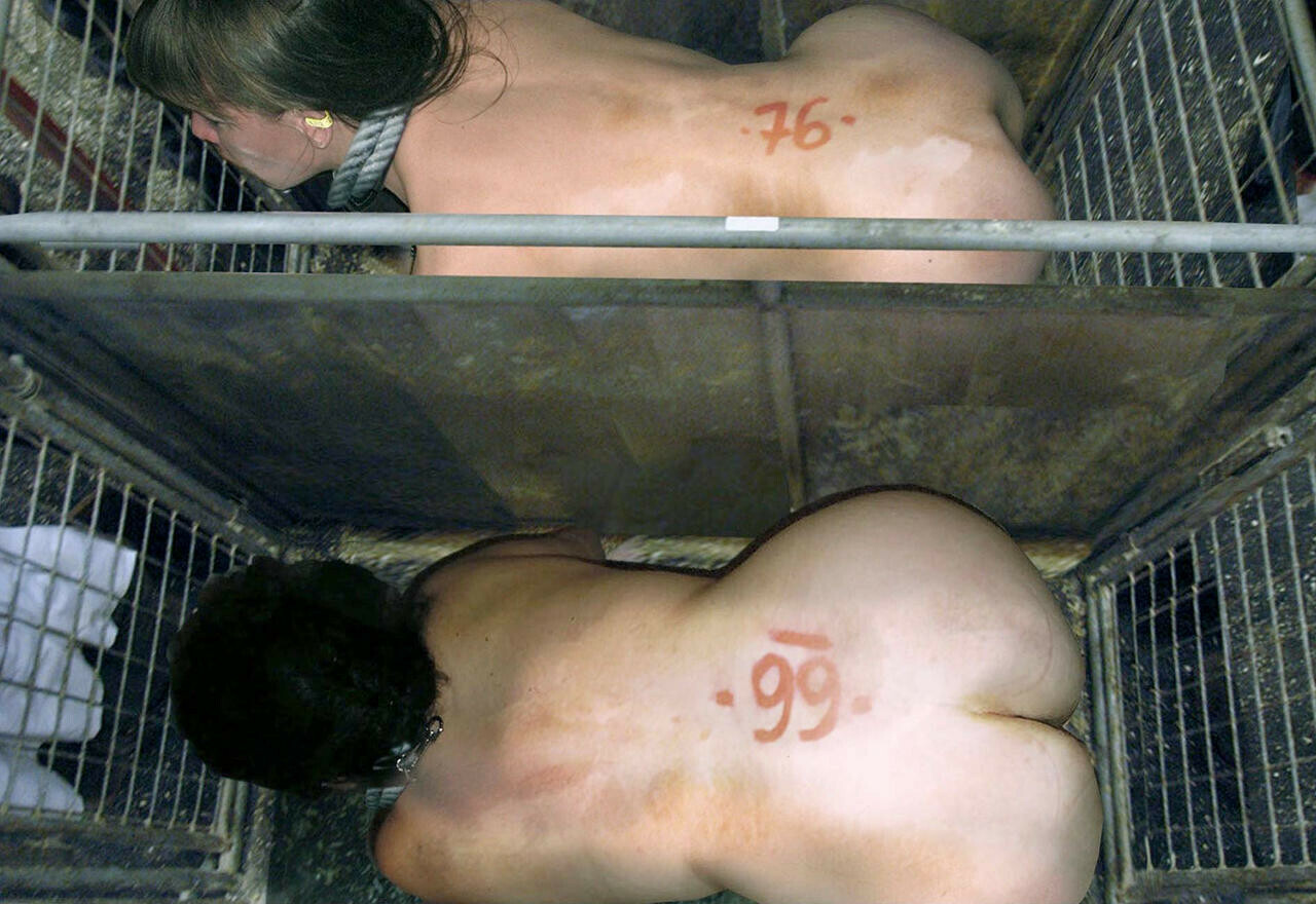 ♠️ My Future: ♠️ Black Owned Property ♠️ 24/7 $ex $lave for BNWO ♠️ ♠️ $ex $lave for BNWO ♠️