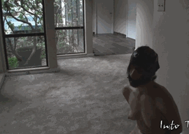 ♠️ My Future: ♠️ Black Owned Property ♠️ 24/7 $ex $lave for BNWO ♠️ ♠️ $ex $lave for BNWO ♠️