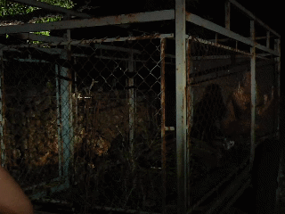 ♠️ My Future: ♠️ Black Owned Property ♠️ 24/7 $ex $lave for BNWO ♠️ ♠️ $ex $lave for BNWO ♠️