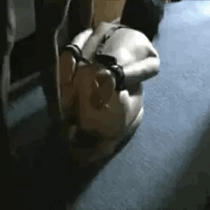 ♠️ My Future: ♠️ Black Owned Property ♠️ 24/7 $ex $lave for BNWO ♠️ ♠️ $ex $lave for BNWO ♠️