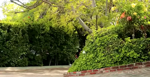 ♠️  I Will Train My $issy Fuck Holes For BNWO™ inc. ♠️ 